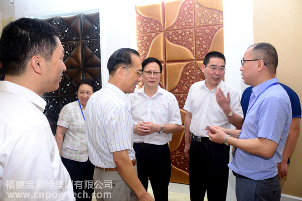 在閩全國(guó)人大代表調(diào)研組蒞臨福建寶利特