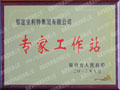 點(diǎn)擊查看大圖