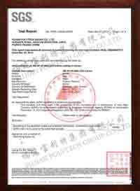 Test Report
