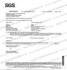 Test Report