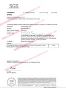 Test Report